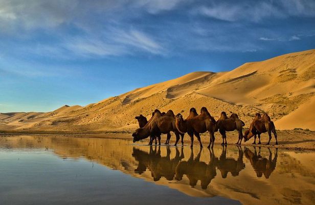 Overnight Semi-Gobi Tour with Nomadic HomeStay