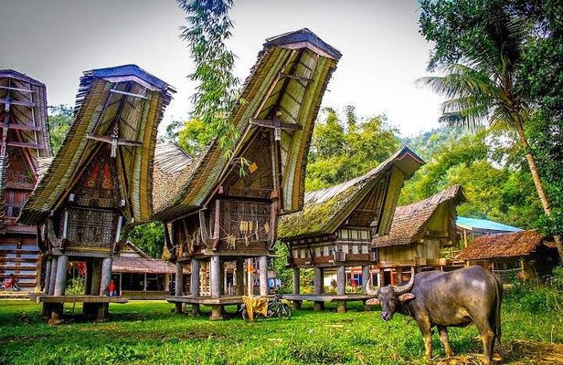 3 Days Tana Toraja from Makassar: Kete Kesu Village, Menhir to Funeral Burial