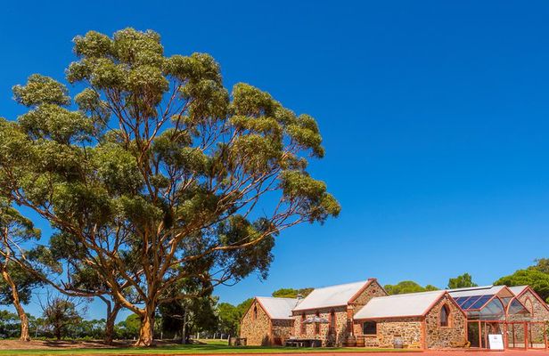 McLaren Vale and Glenelg Wine Tasting and Sightseeing (Half-day Afternoon)