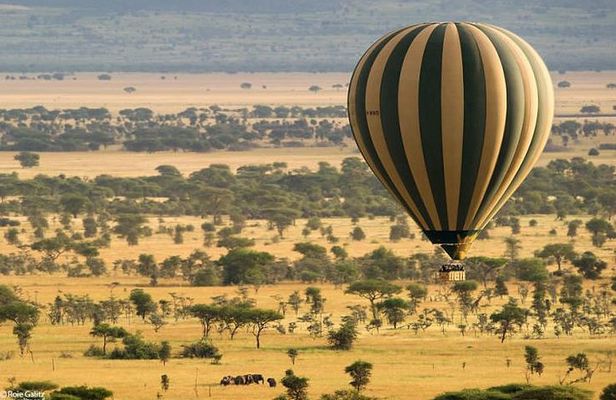 4 days Join Group safari in Serengeti, Ngorongoro and Lake Manyara National Park