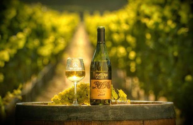 Hua Hin High Light & Vineyard