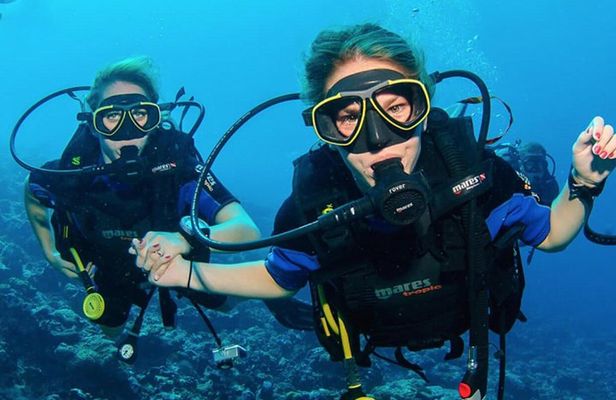 Diving (For Beginner diver) - Pattaya