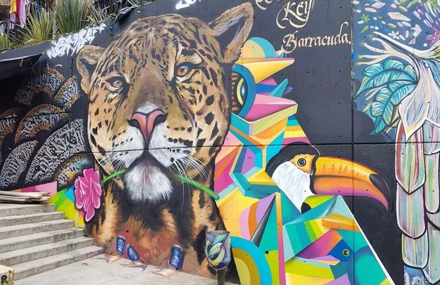 Medellín & Comuna 13 Private Tour