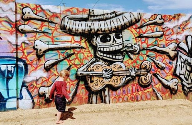 RoRo Street Art Tour in Phoenix