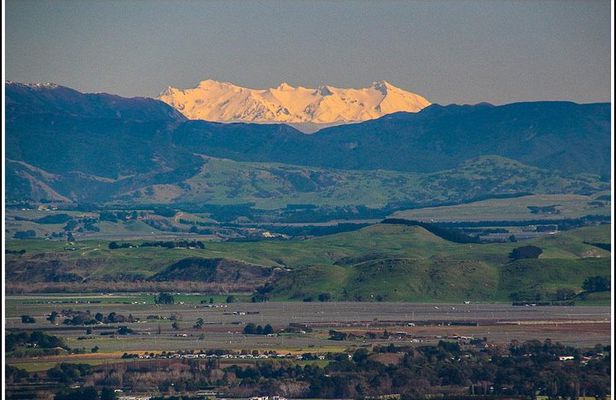 Shore Excursion: 4 Hour Premium Hawkes Bay and Napier Tour