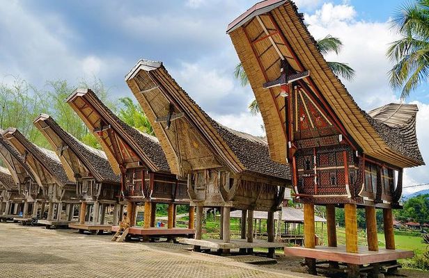 4 Days Toraja Cultural Tour from Makassar: Tongkonan Houses to Toraja Funerals