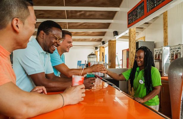 Aruba De Palm Island Day Pass