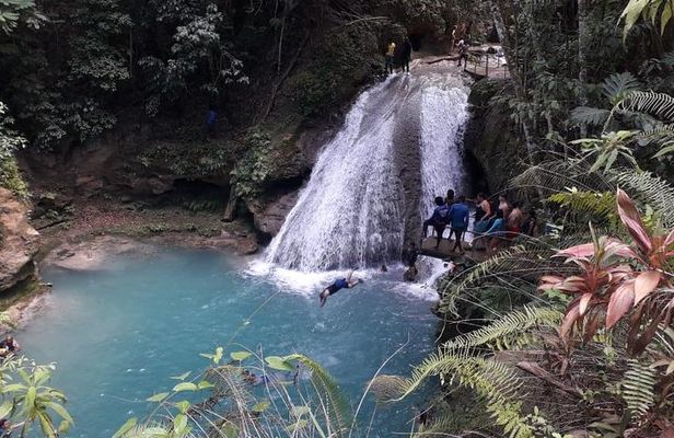 Ocho Rios Blue Hole and Dunn's River Falls Tour