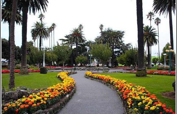 Napier sight seeing / Art Deco Tour -2- 2.5 hours