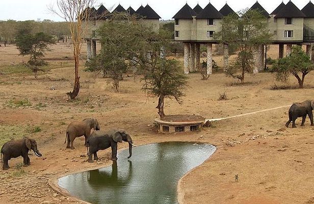 3 Days 2 Nights Tsavo East Taita Hills Game Sanctuary on Stilts