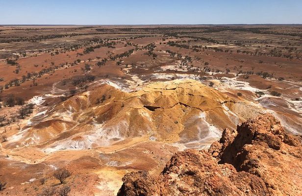 Dinosaur Stampede 3/4 Day Tour