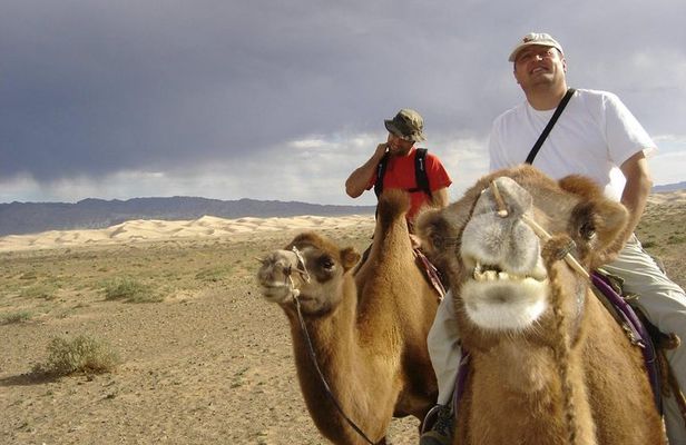 1 Day Semi-Gobi Tour Including Lunch And Free Camel +Bonus Khustai National Park
