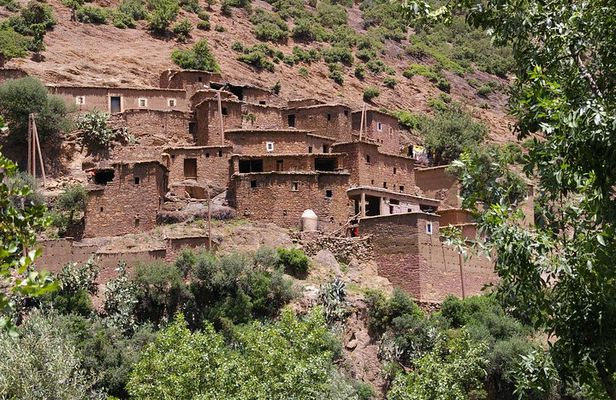Private Day Atlas Mountains Waterfalls Ourika Berber villages