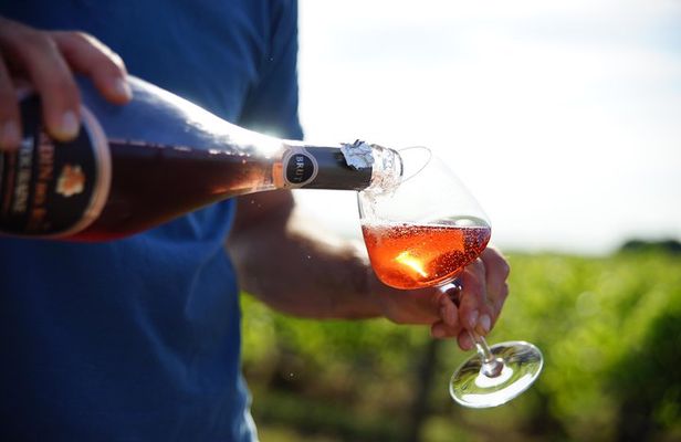 Morning - Loire Valley Wine Tour & Food Pairing, Vouvray