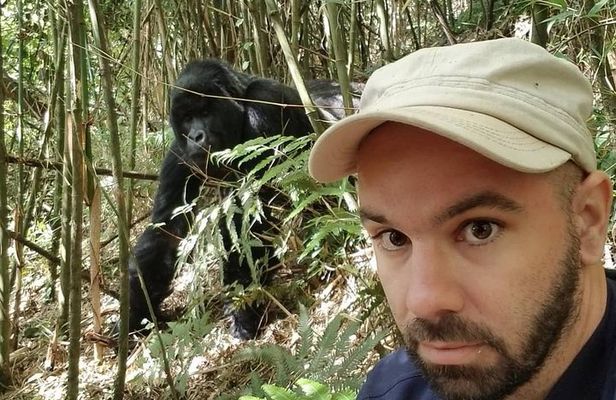 From Kigali: 2-Day Rwanda Gorilla Trekking Experience