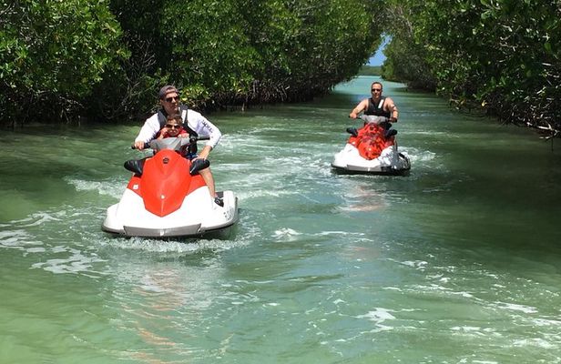 1.5 Hour (20 miles) Waverunner Tour. See Mangrove Tunnels, 20 Islands & SandBar