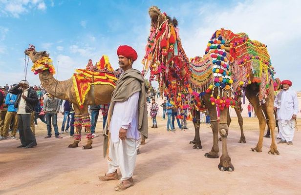 Private 11 Days India Cultural Rajasthan Tour