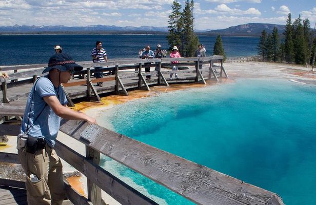 Best of Yellowstone Private National Park Safari Tour