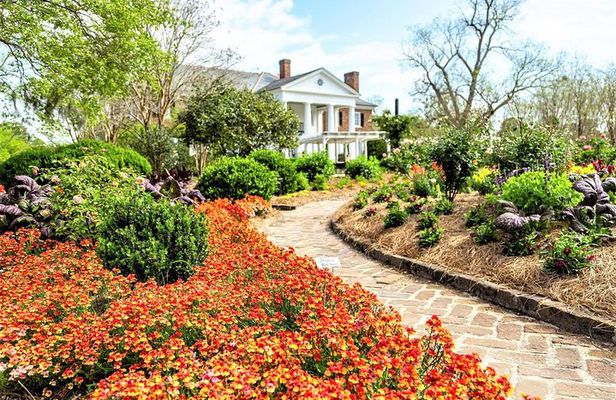 Boone Hall Plantation All-Access Admission Ticket