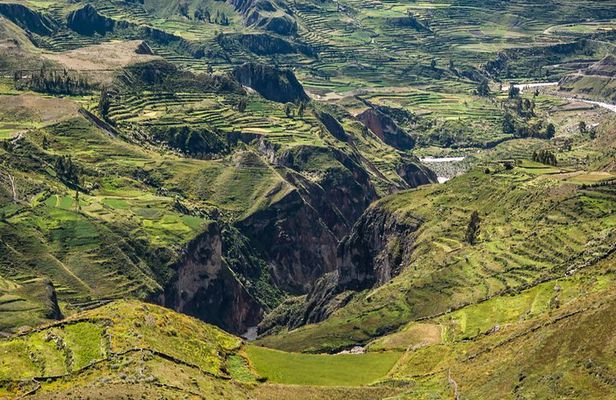 Colca Canyon + Transfer To Puno