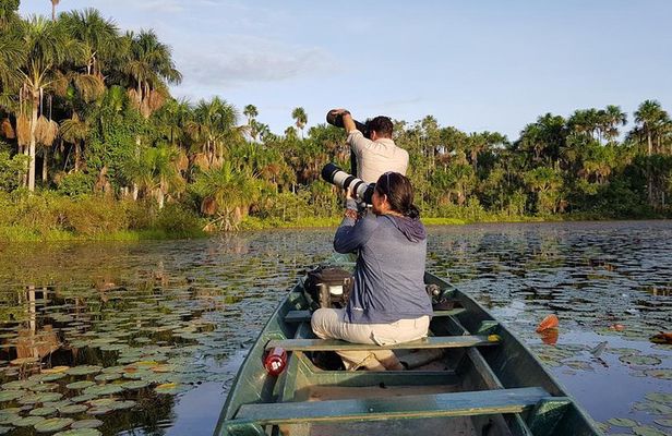 Best of Tambopata 2 nights by JunglePro