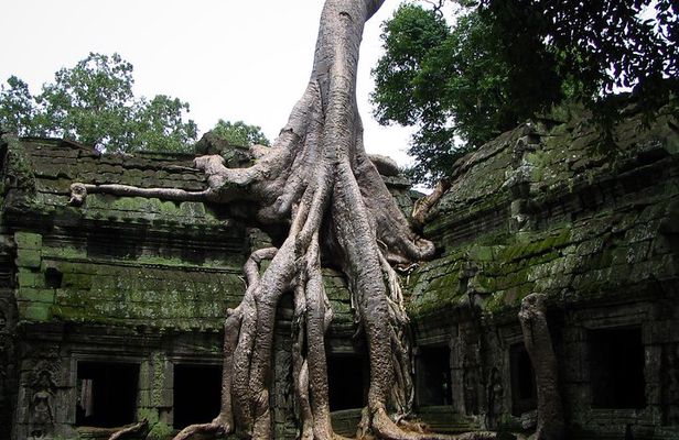1-Day Angkor Wat Sunrise & All Interesting Temples Private Tour