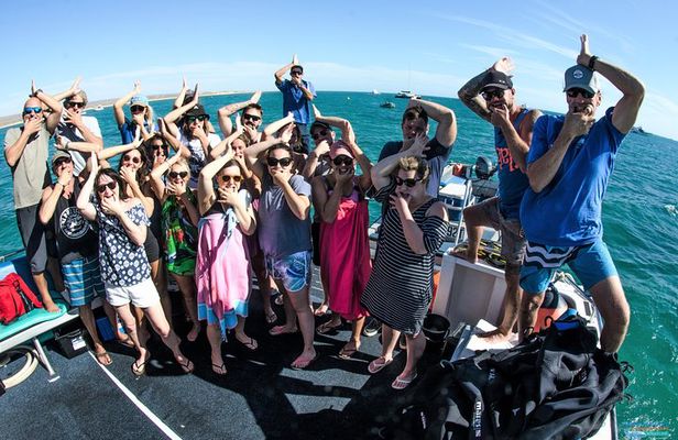 Deluxe Mega Fauna Humpback or Whaleshark Swim Ningaloo Reef