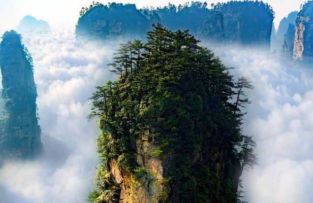 1 "Pandora" Day Trip-Zhangjiajie National Park(Avatar Mountain Scenery)