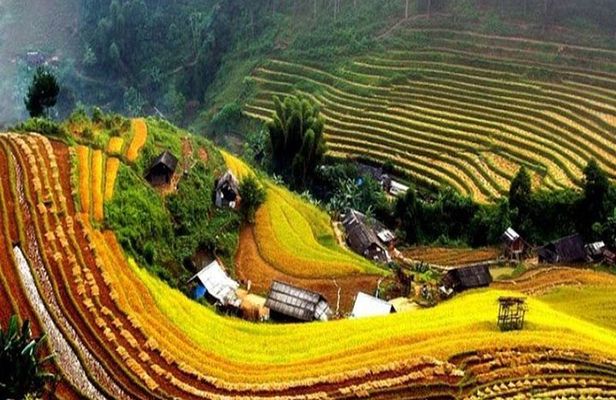 Sapa Trekking 2 Days - 1 Night, Homestay or Hotel by Sleeping Bus