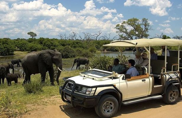chobe Day trip