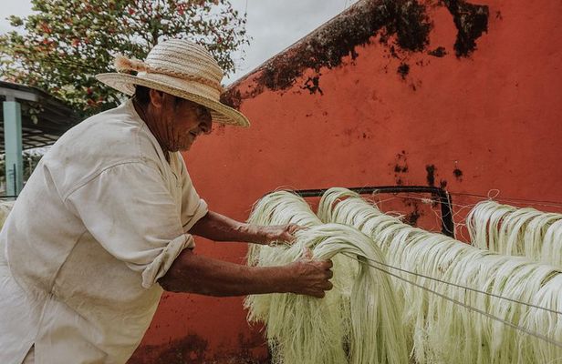 Private Tour: Sotuta de Peon Hacieda Day Trip