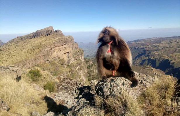 Simien Mountains Trekking Adventure