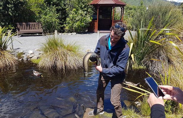 Private Kapiti Coast Full Day Tour
