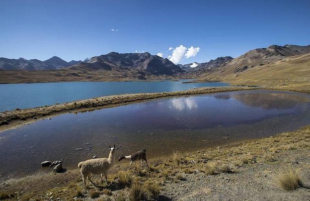 CONDORIRI Mountain Range and Lagoons Full day Trekking. Spanish guide.