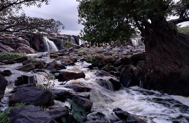 Road Drive to Fourteen Falls from Nairobi