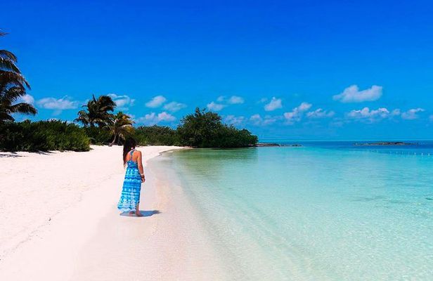 Island Contoy Adventour & Buffete & Isla Mujeres only from Cancun