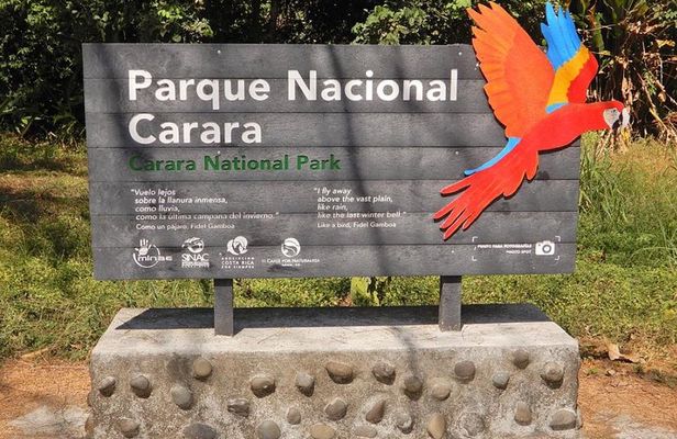 Carara National Park Birdwatching Private Guided Tour Experience.