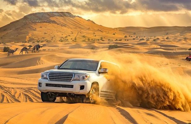 Dubai Private Morning Desert Safari: Camel Ride & Sandboarding