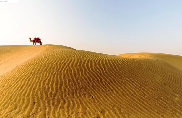 Full Day Sightseeing Tour of Jaisalmer