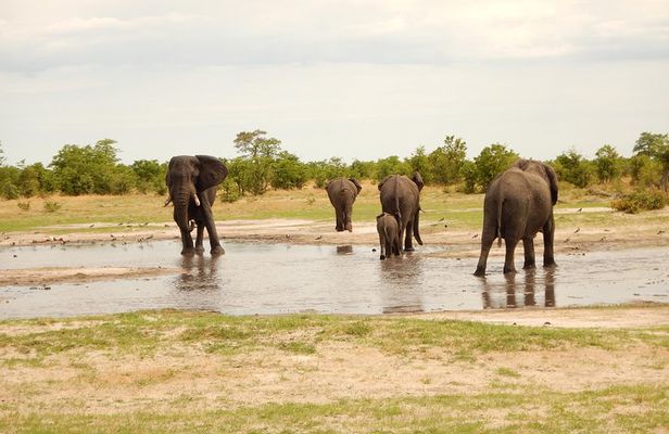 3 Day Okavango Delta