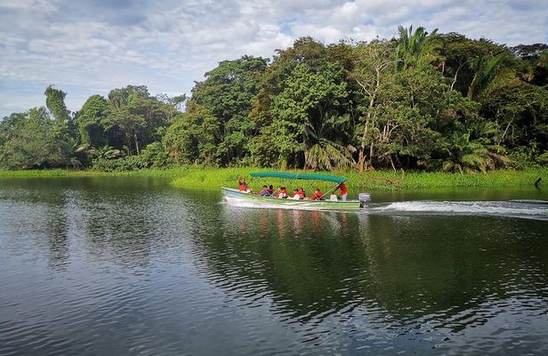 Panama Canal Monkey & Wildlife Boat Safari