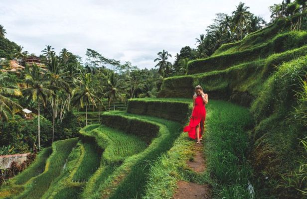 Best Day Trip in Bali
