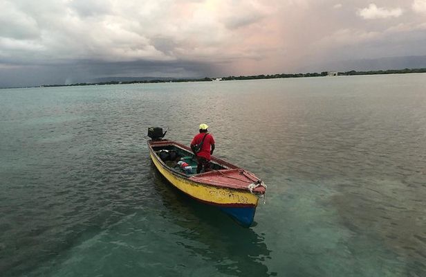 YS Falls, Black River Safari, Floyd’s Pelican Bar