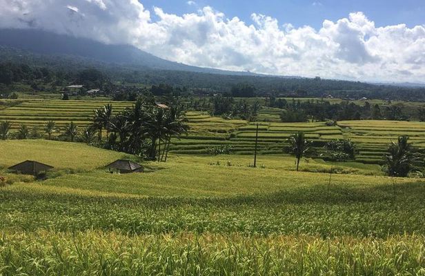 UNESCO World Heritage Tour