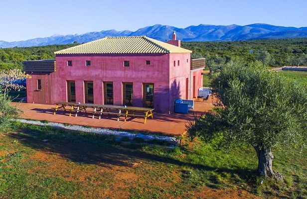 WIne & Olive Oil Tasting in an Organic Farm in Laconia, Greece!