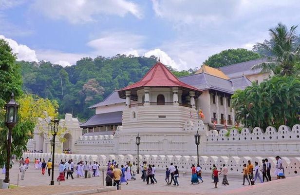 All Inclusive Kandy Day Tour from Colombo & Negombo