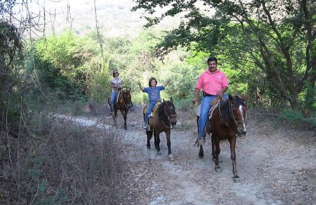 Horse Back Riding With Danitours Montain Rural Areas And Sand Beach
