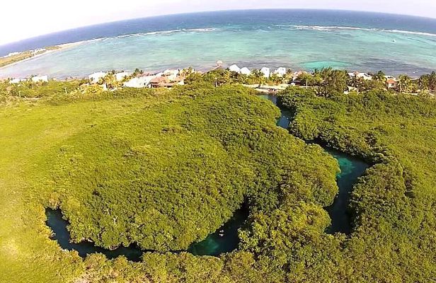 Paddleboard Combo Tour Cenote + Ocean