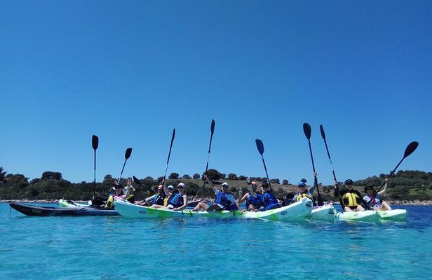 Guided half-day kayak tour