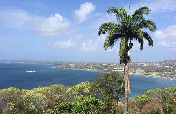 Full Island Tour (Including Lunch & Snorkeling)